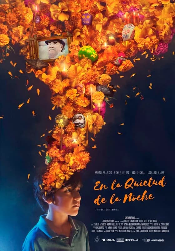 IN THE STILL OF THE NIGHT film poster