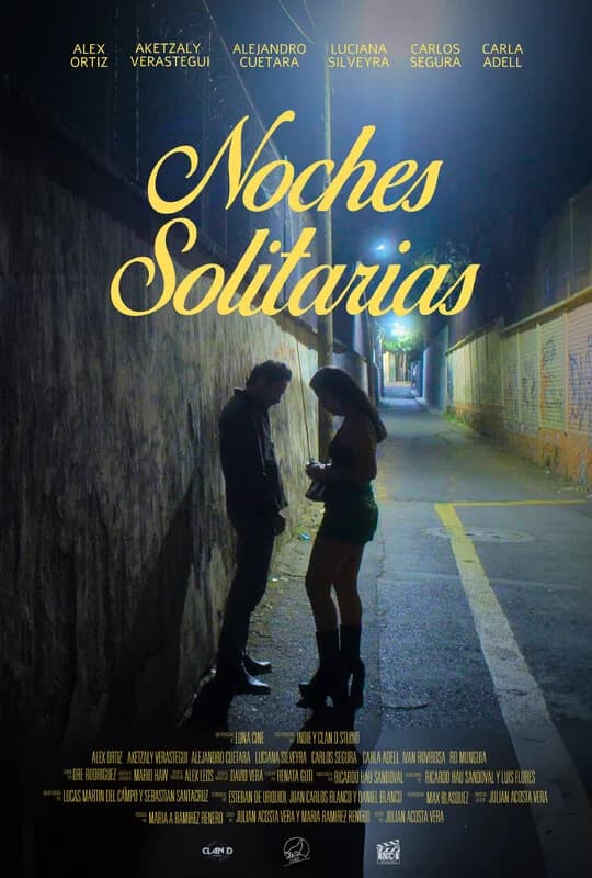 LONELY NIGHTS film poster